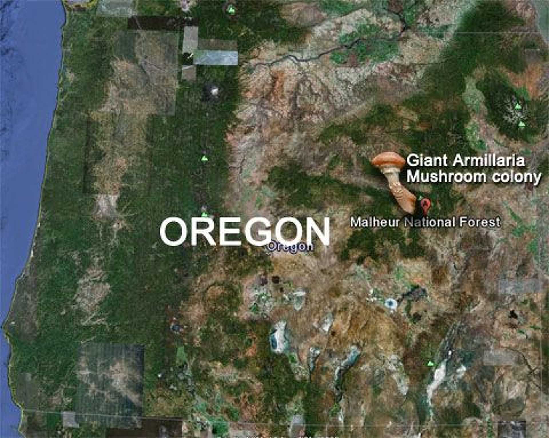 Oregonban található