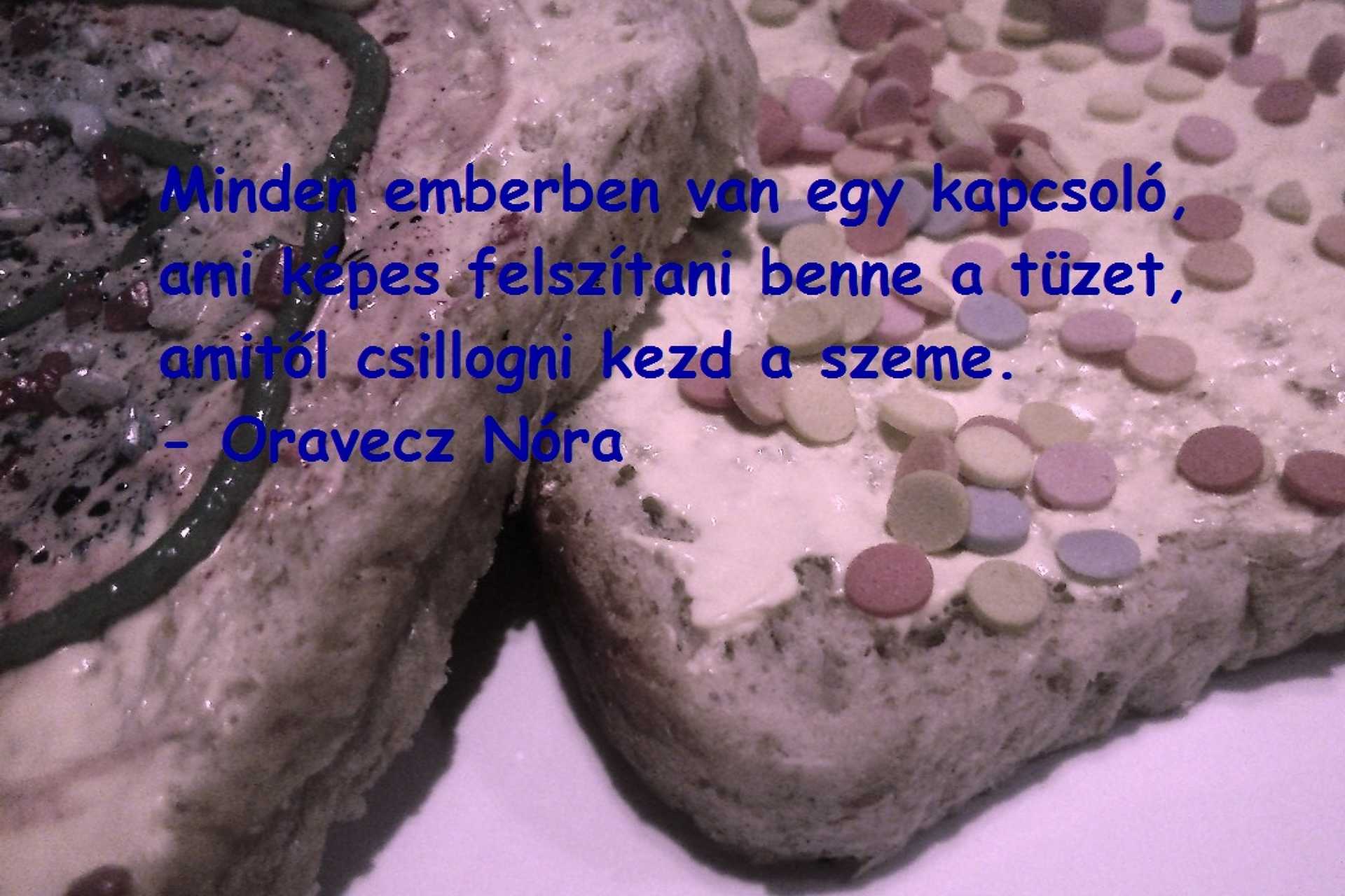 Én kérek elnézést