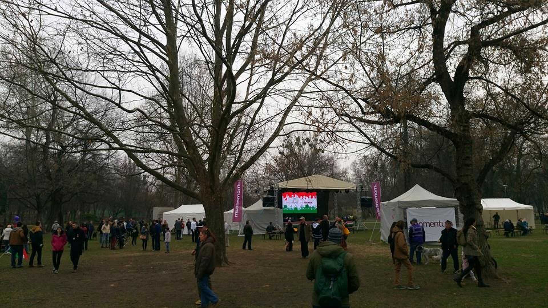 momentum pappgergő