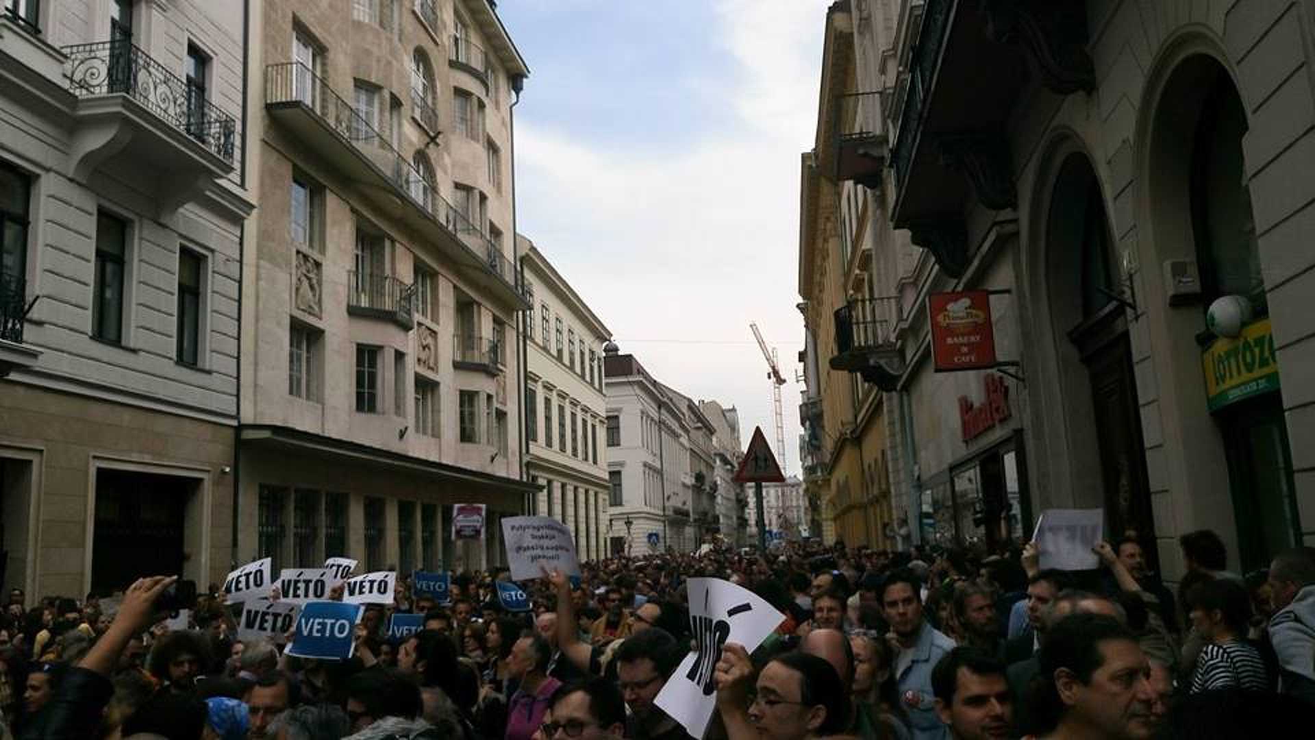 ceu élőlánc 20170404