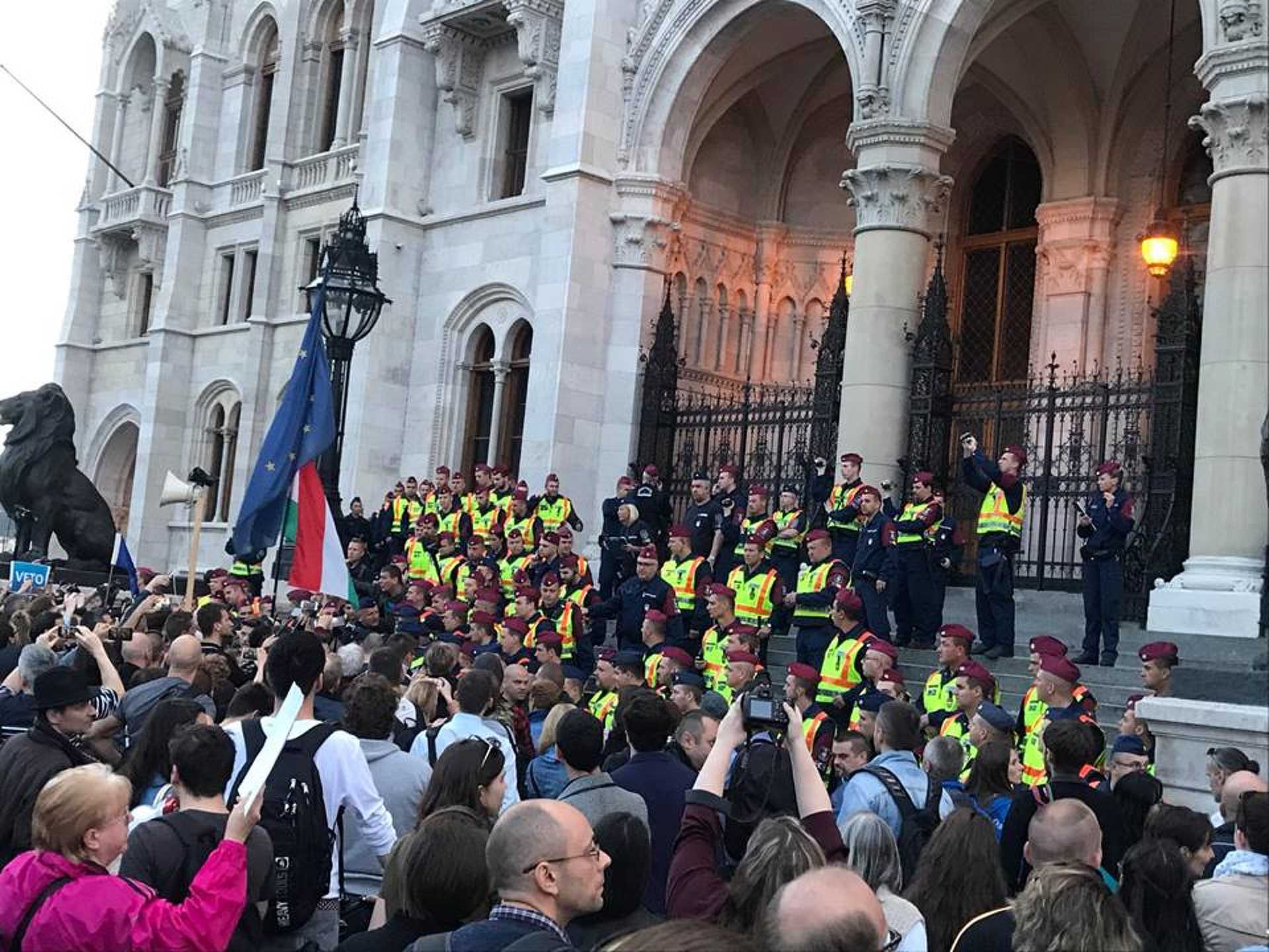 ceu élőlánc 20170404