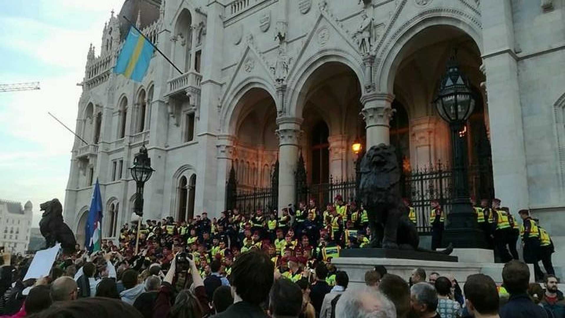 ceu élőlánc 20170404