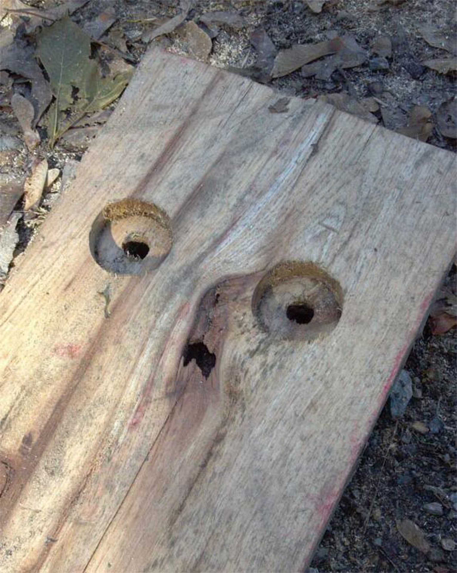 Pareidolia