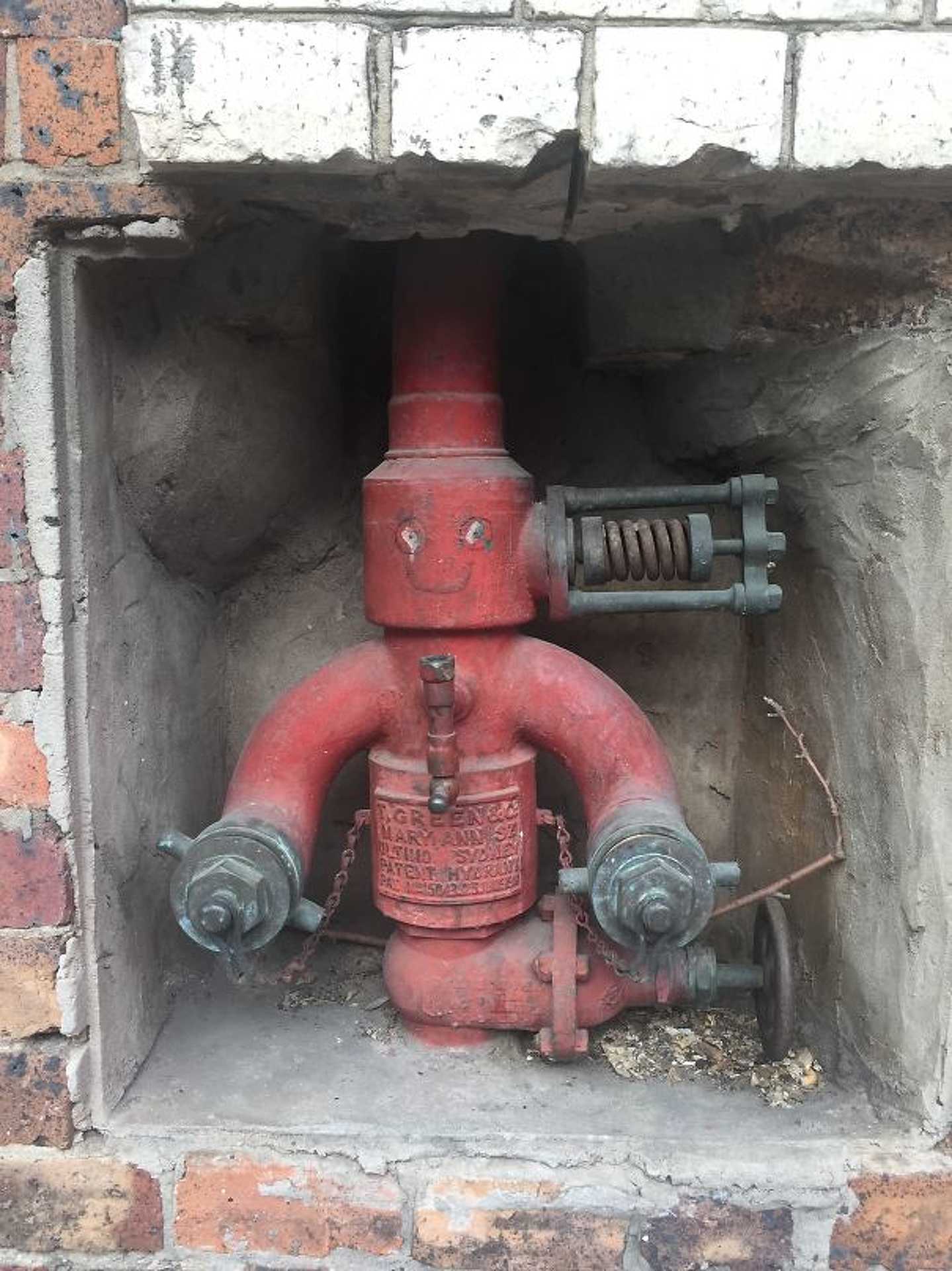 Pareidolia