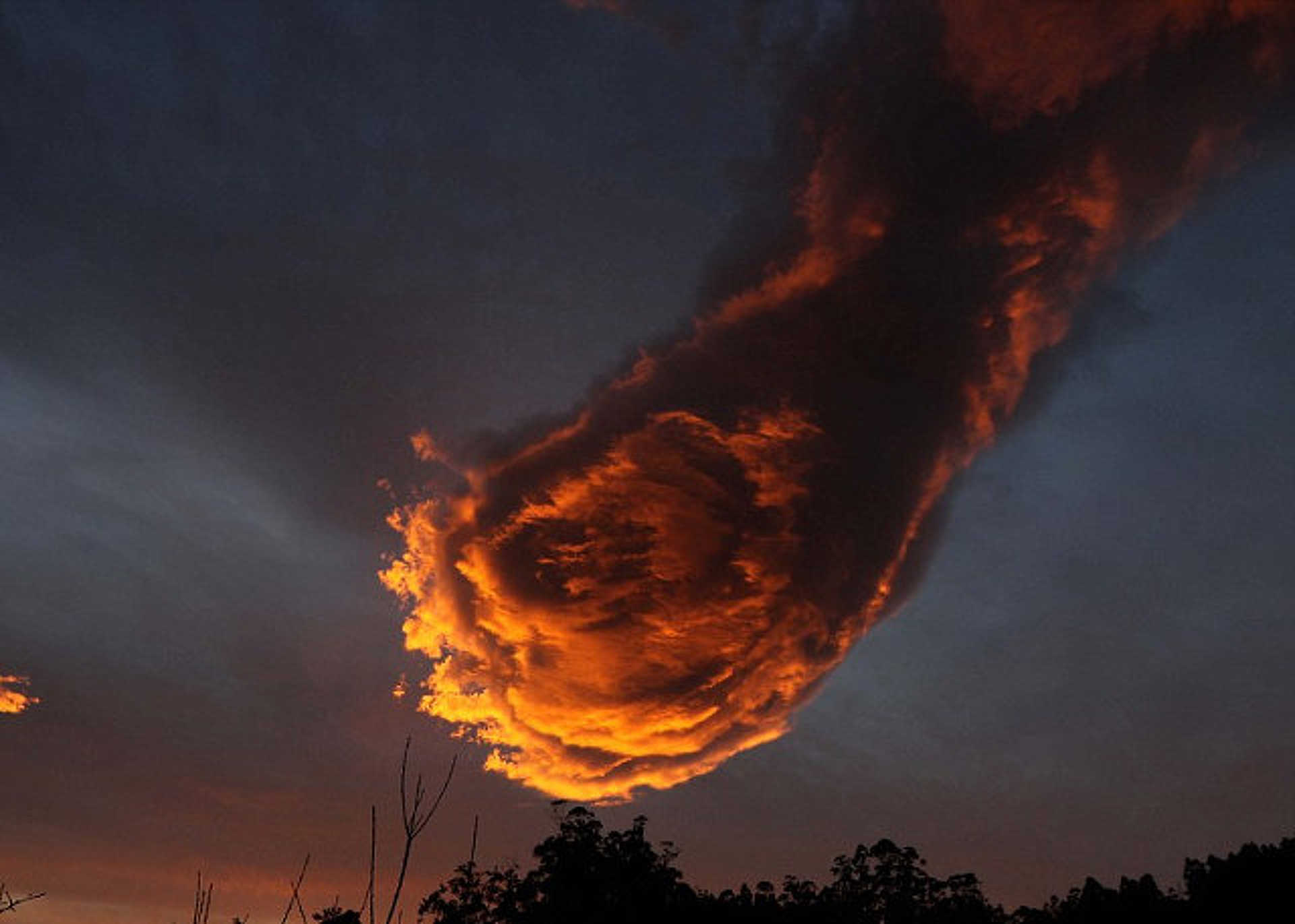 Pareidolia
