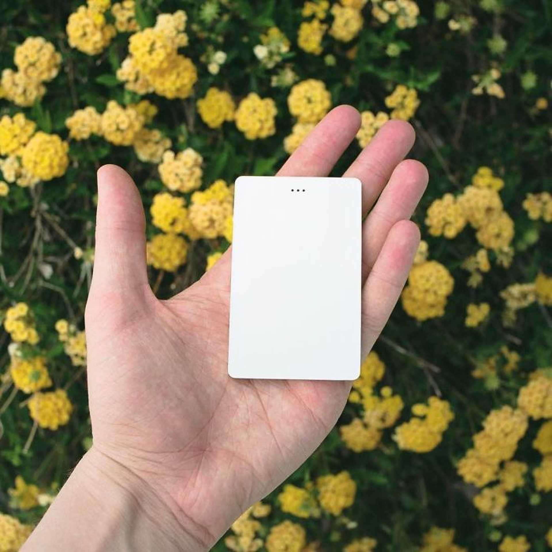 Light Phone