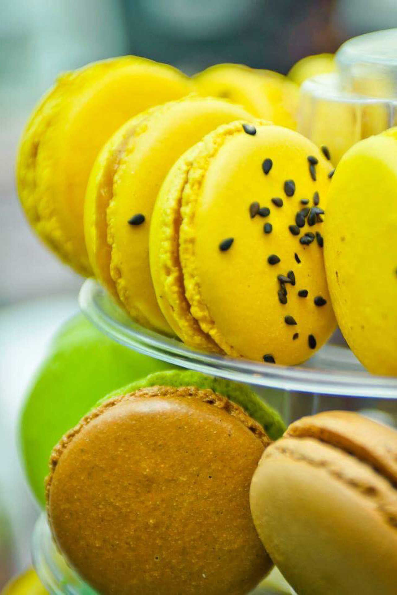 Macaron Nap