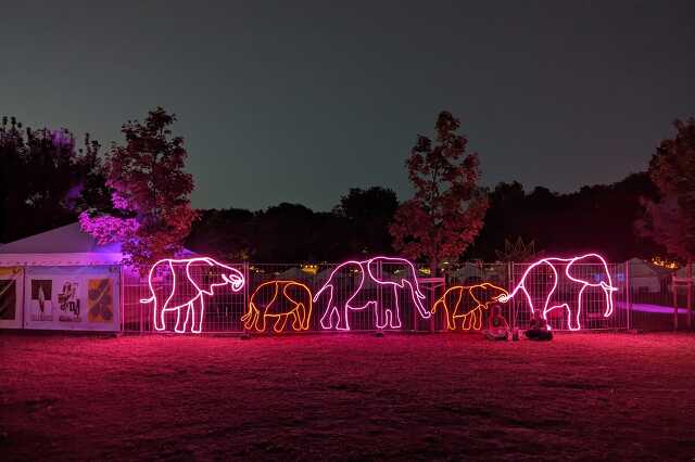 Fény installációk @ Sziget Fesztivál 2023