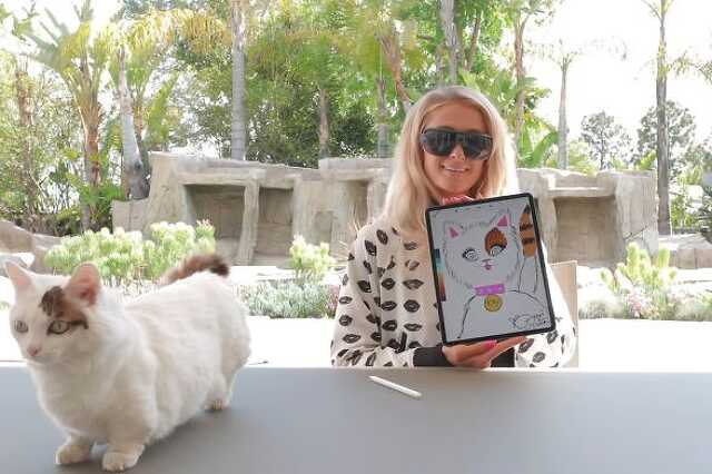 Paris Hilton művészkedik