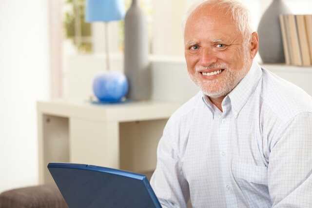 Hide the Pain Harold