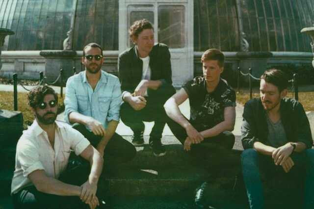 foals