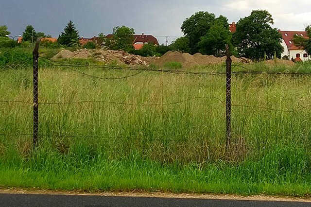Nő a fű