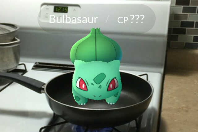 pokego