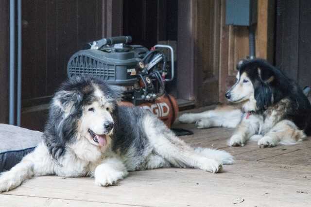 old friends