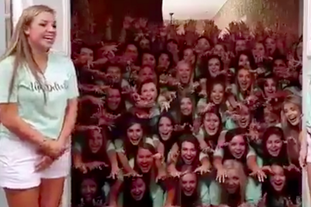 Alfa delta pi