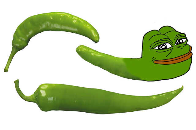 pepe