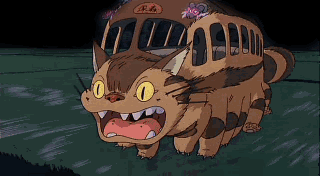 Busz 