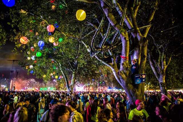 Sziget