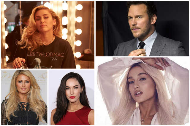 Kurtafarkúak Hollywoodban