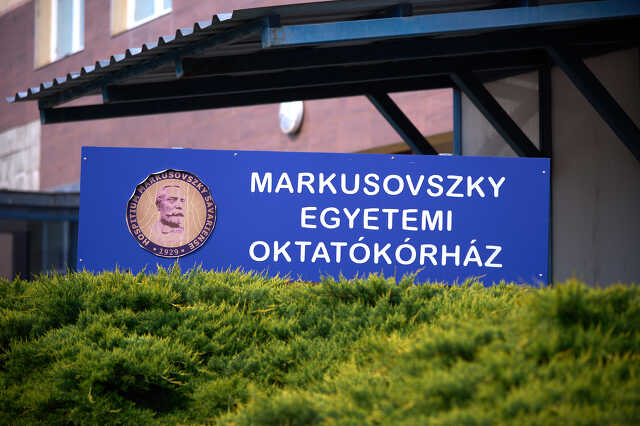 Markusowszky kórház illusztrációk