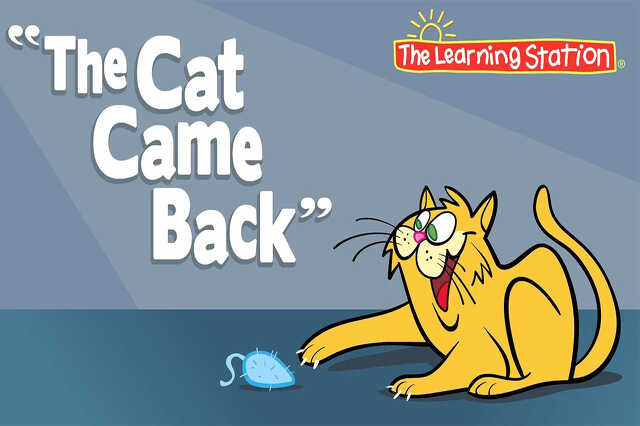 cat came back