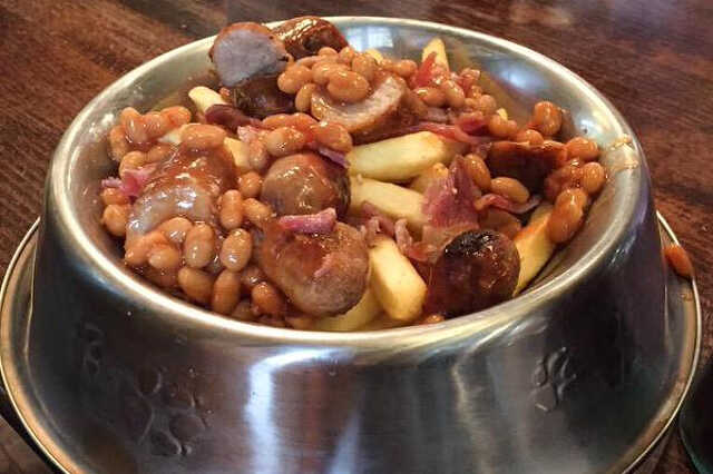kutyavacsi