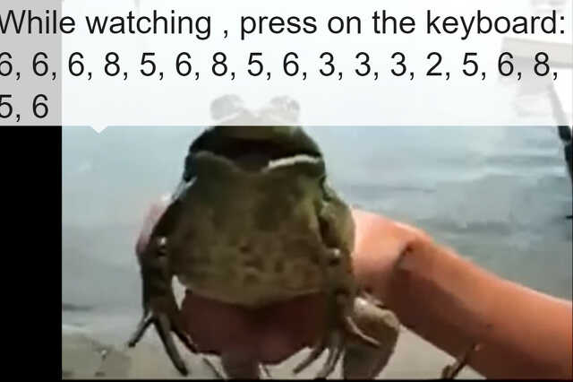 toad