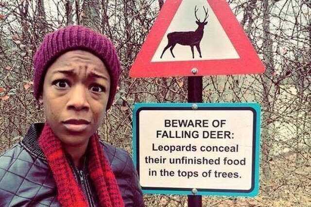 Samira Wiley és a leopárdos tábla