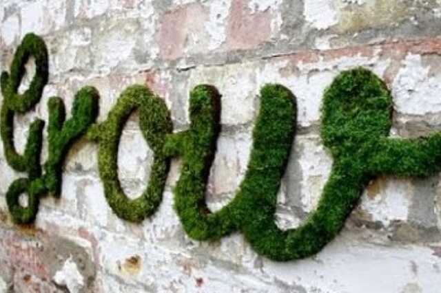 moha