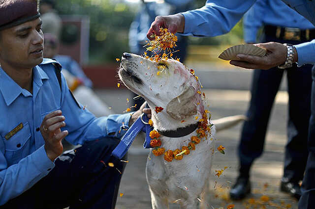 Tihar