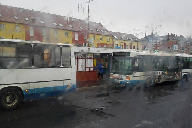 Buszmegálló, nem szép látvány