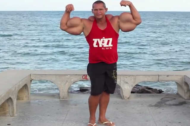 Synthol04