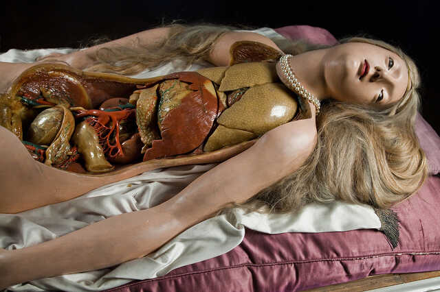 under the skin
