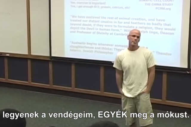 mókusevés