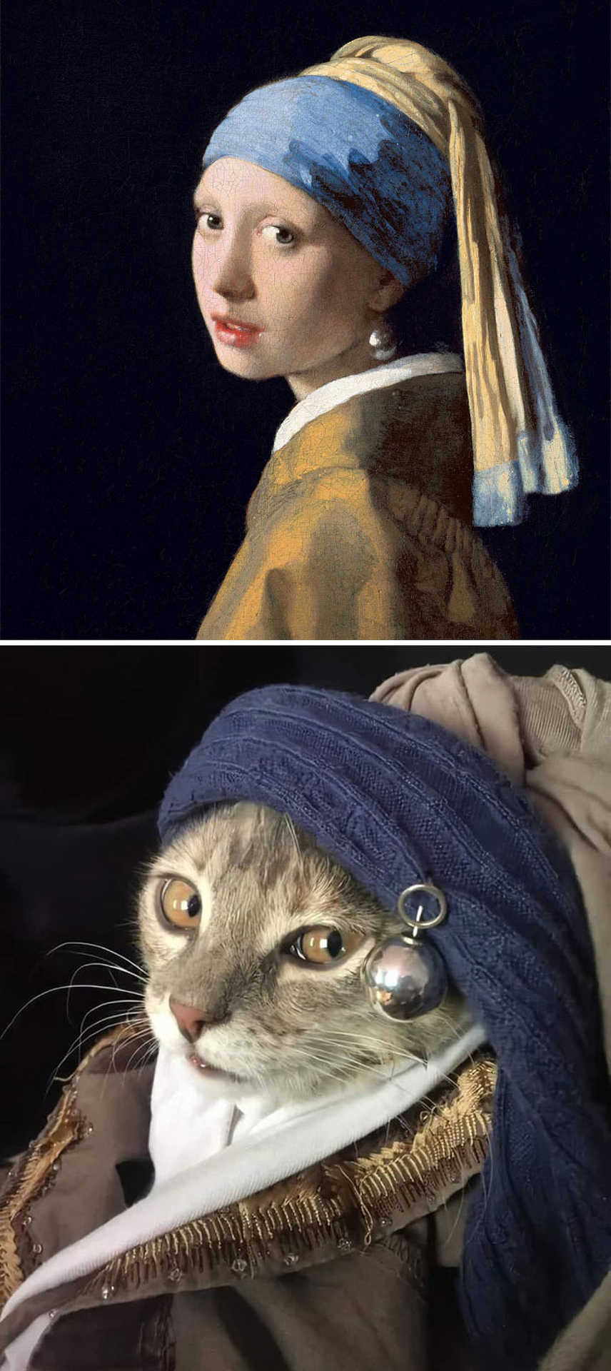 Jan Vermeer van Delft: Leány gyöngyfülbevalóval