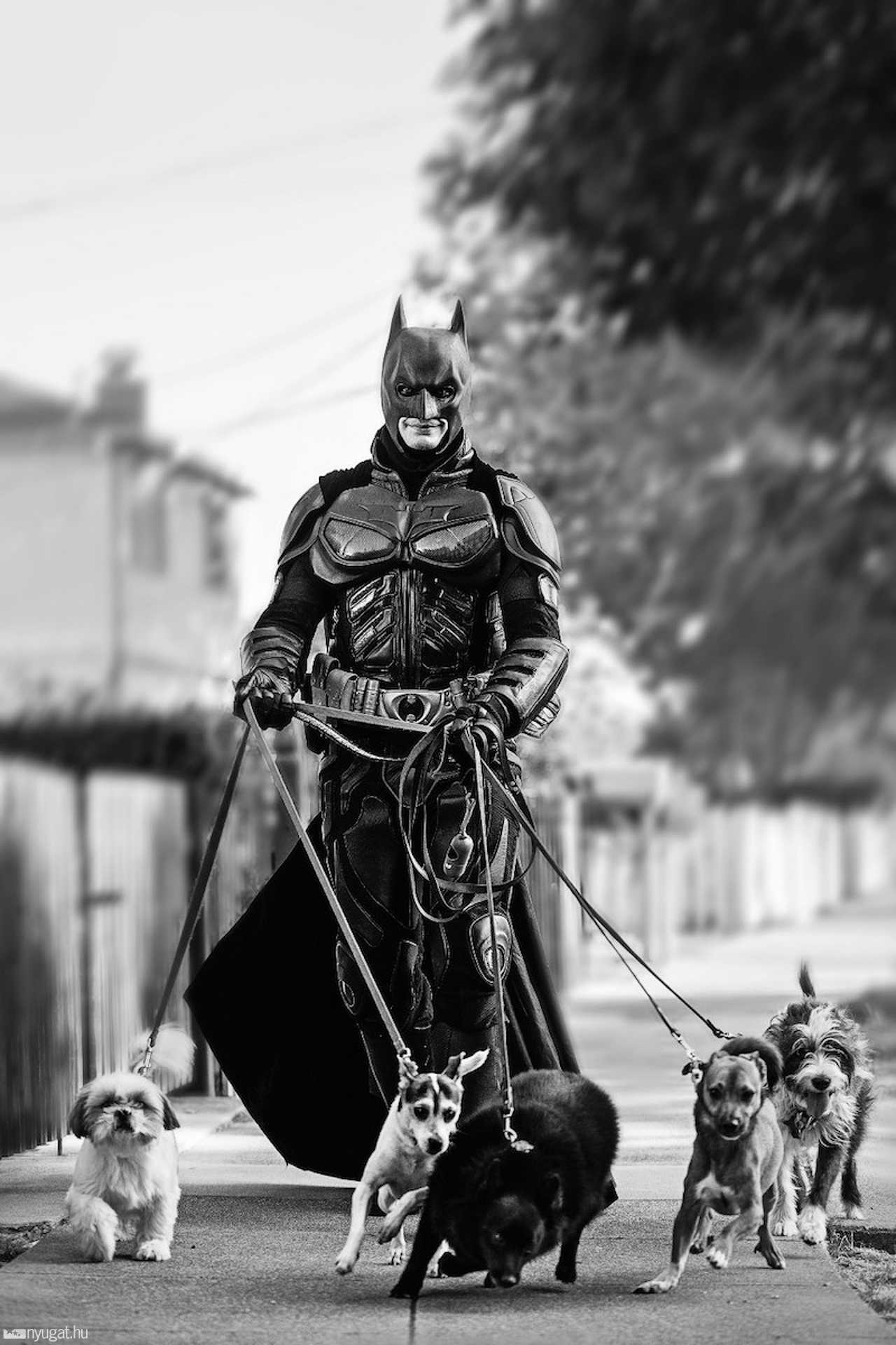 Batman, az önkéntes hős