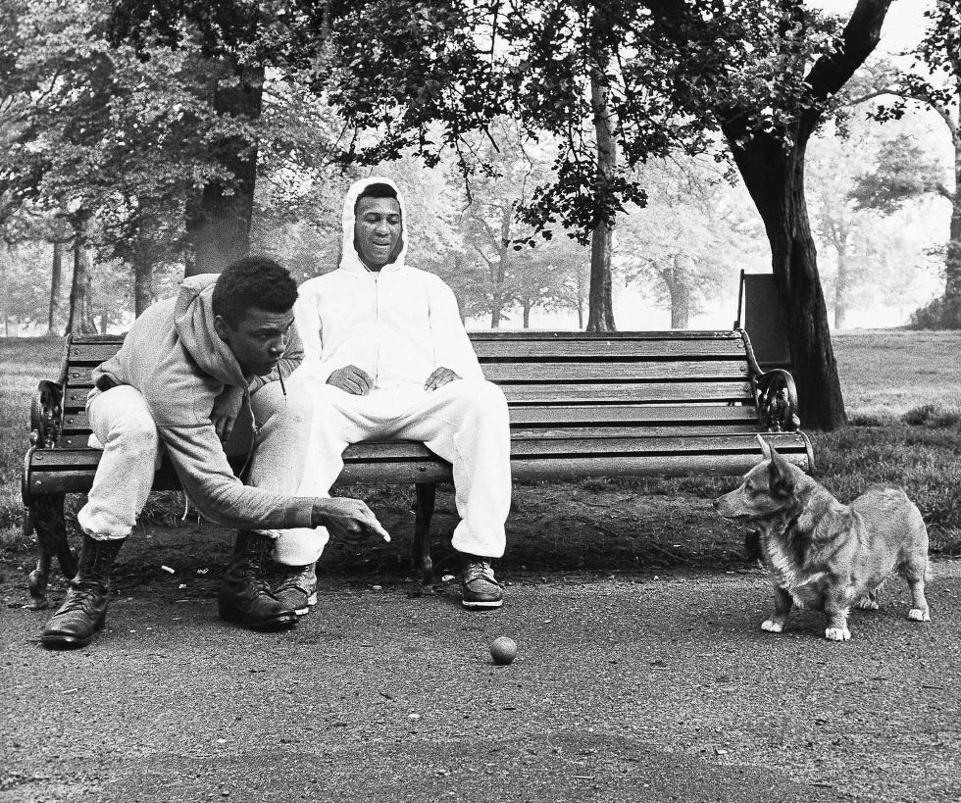 Muhammad Ali