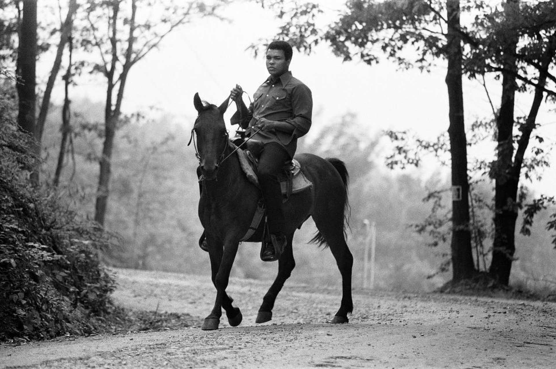 Muhammad Ali
