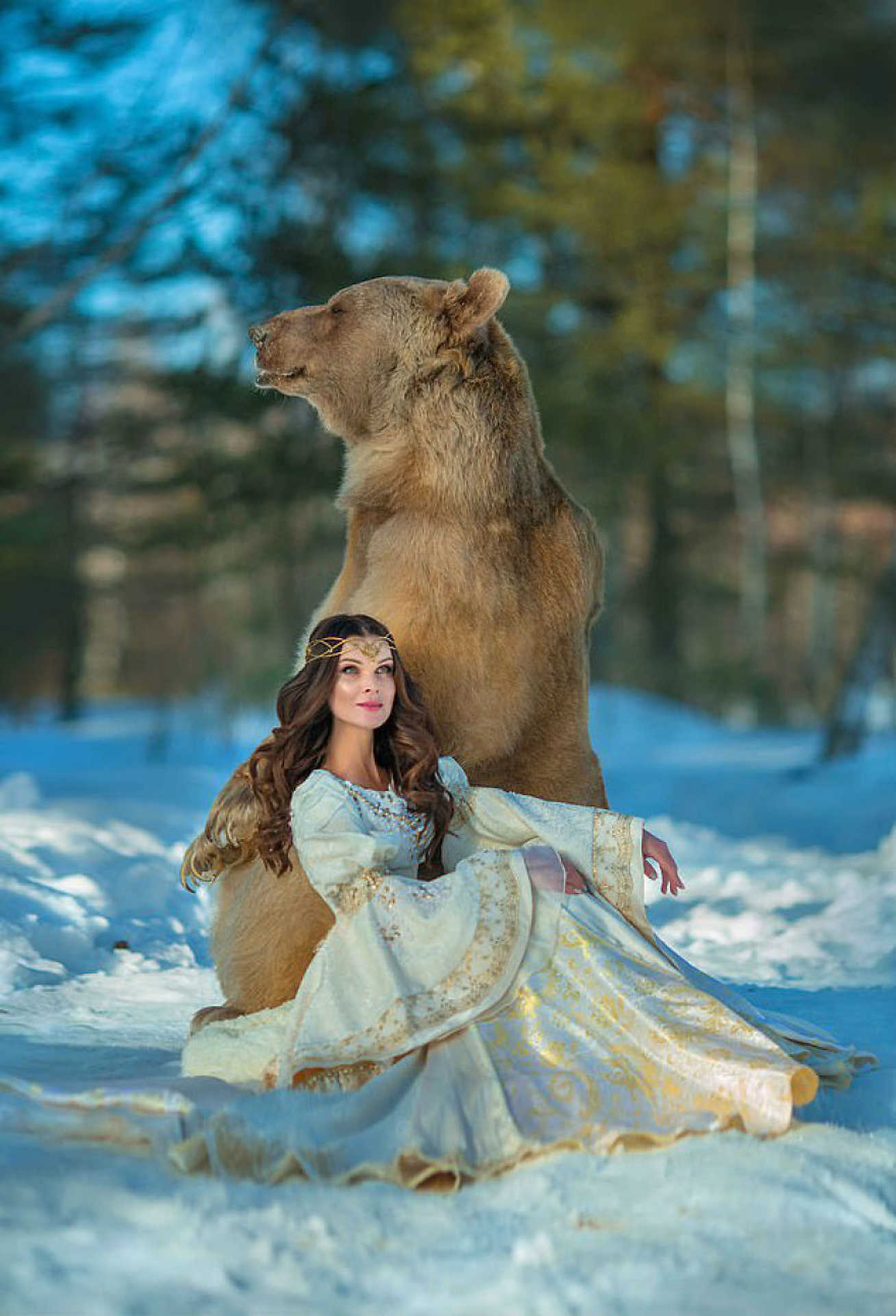 Sztyepan, a barna medve-modell