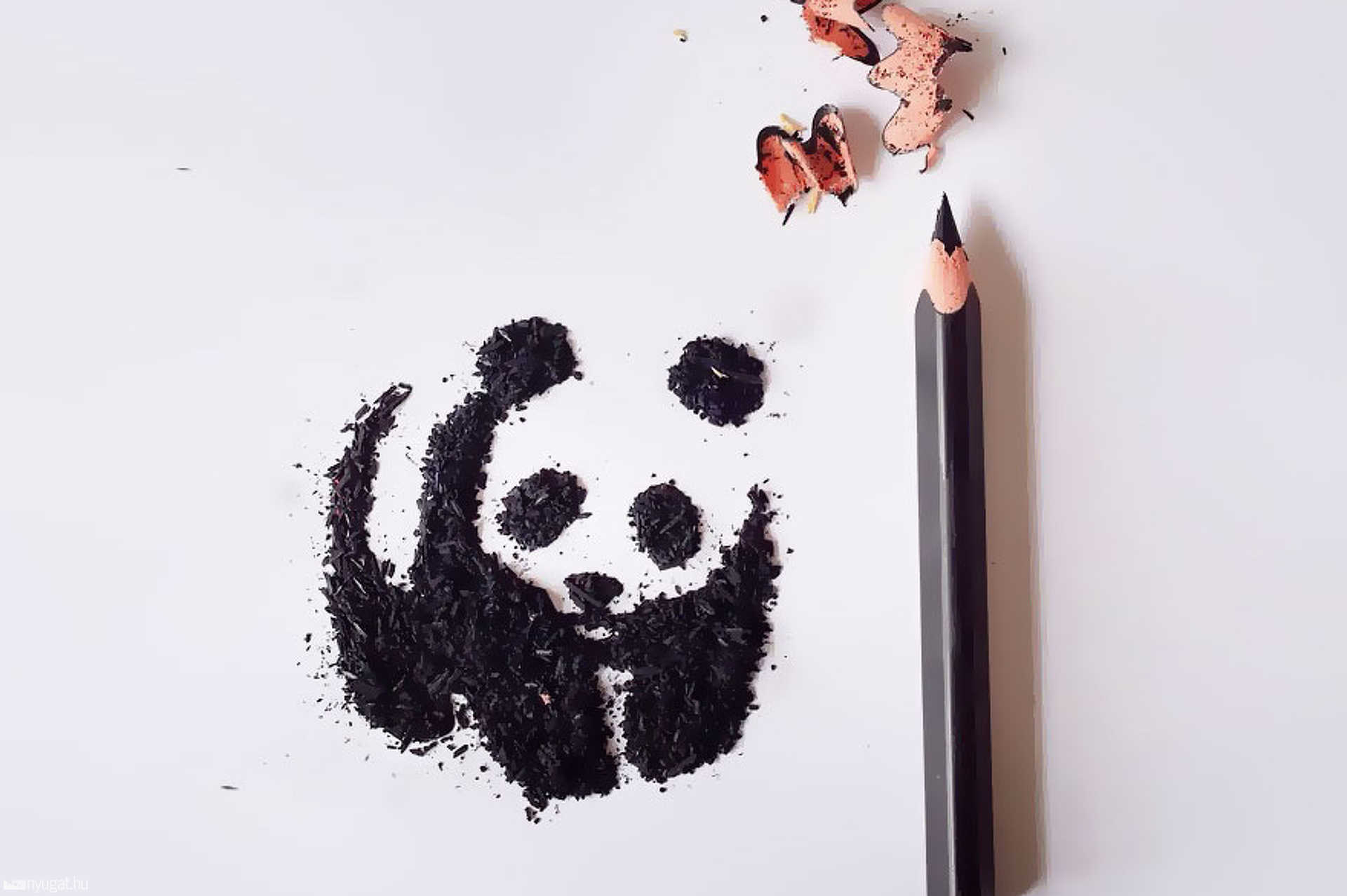 Grafitceruza forgácsból képek
