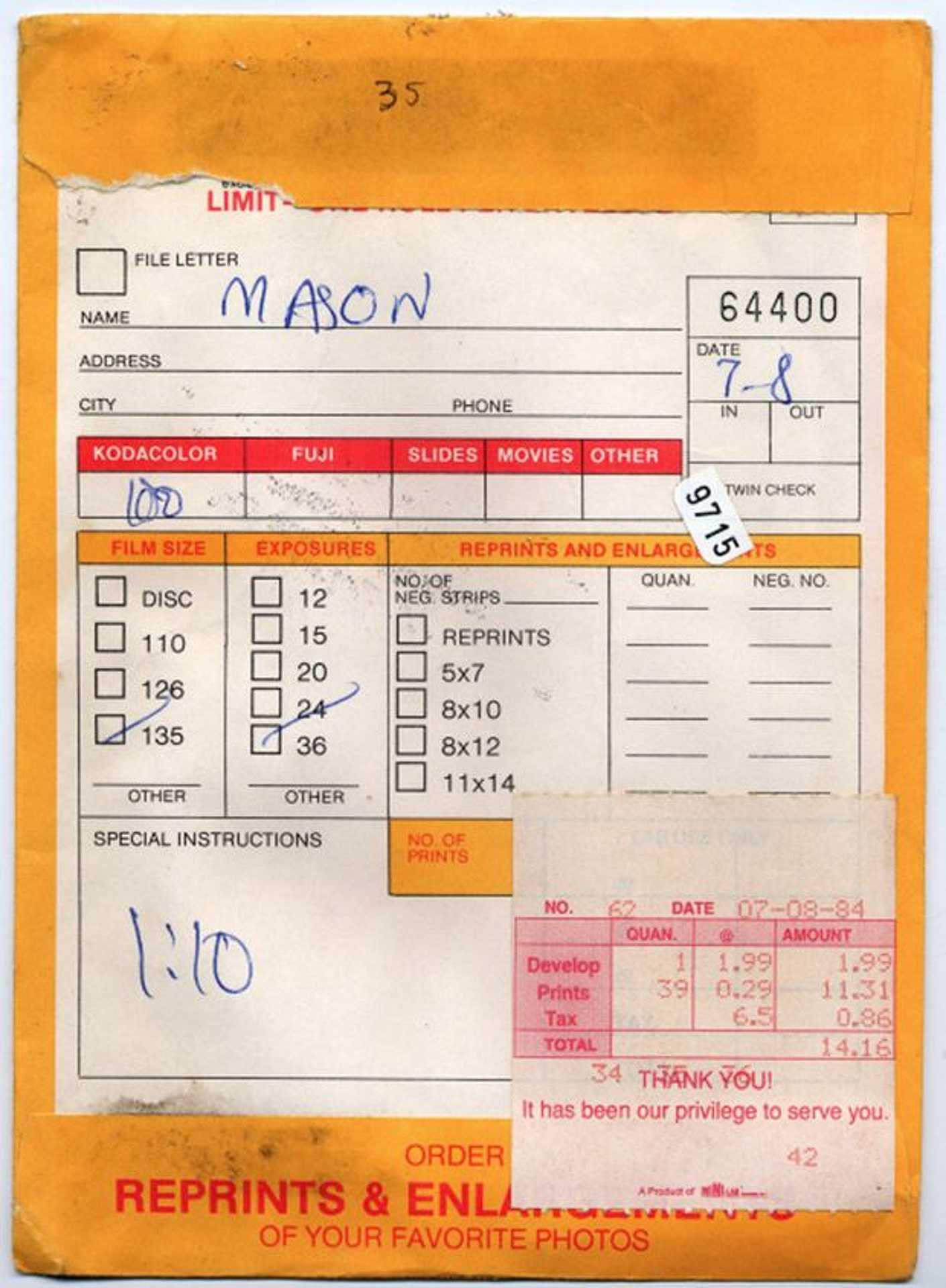 Dragon Ladies